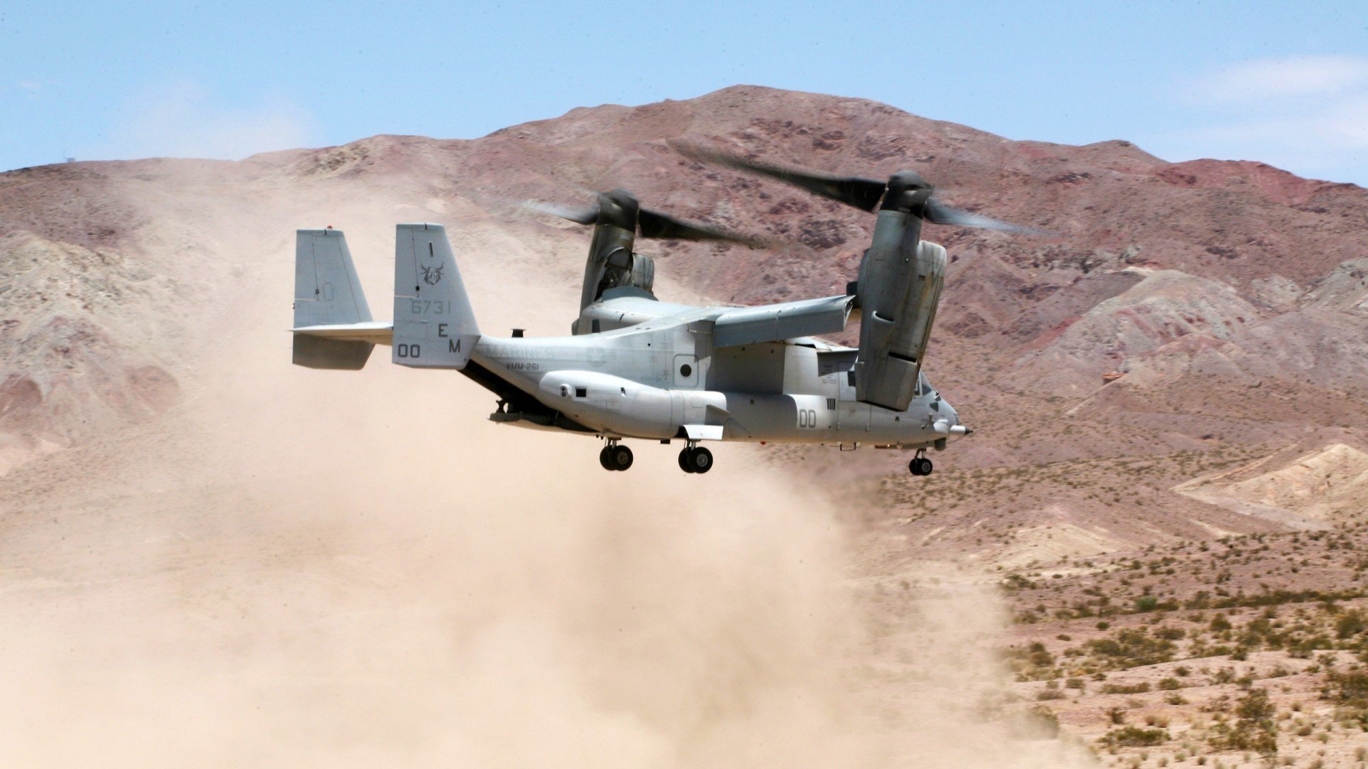 爱游戏体育在线-“国家队集训营：锻造战斗力，迎接大赛”，国家队训练营