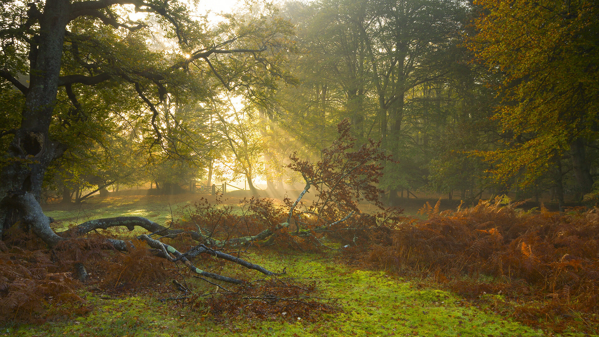 爱游戏内容中心-“赛车背后：团队深夜调校的坚持与智慧”，赛车团队怎么分工
