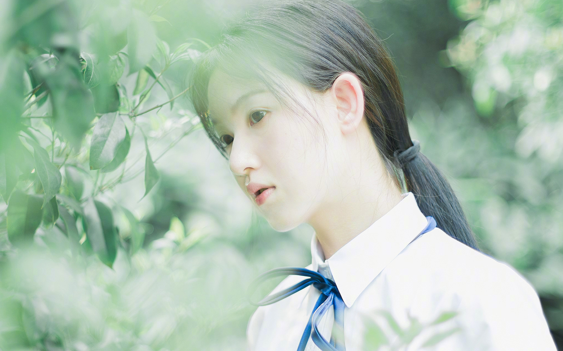 光明记忆“未来之战”线上公会大战火爆燃烧,游戏未来之光